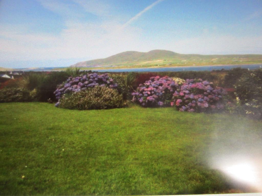 Ocean View B&B Killarney Zewnętrze zdjęcie